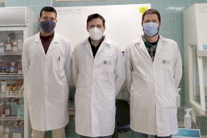 Los nanomateriales basados en el carbono, “tratamientos prometedores” contra la neumonía provocada por la COVID-19