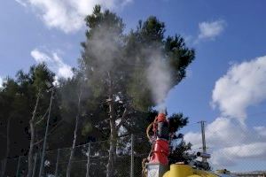 El Poble Nou de Benitatxell trata los pinos contra la plaga de la procesionaria con productos ecológicos