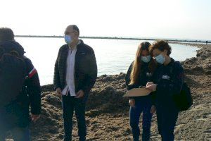 Medio Ambiente inicia en marzo una campaña para proteger la Posidonia y los arribazones de calas y playas