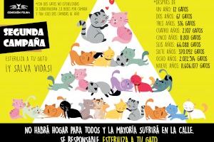 Llombai vuelve a sumarse a la campaña de esterilización de gatos de la protectora Conexión Felina