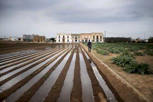 Los agricultores valencianos temen perder 90 millones de euros con la nueva política agraria