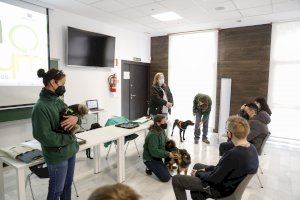 L’Alfàs reanuda el programa ‘Eduka-dogs’ de terapia asistida con perros para jóvenes del IES L’Arabí