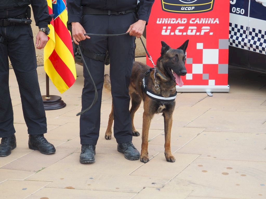 La Policía Local de la Vila hace entrega de un agente canino a guardia urbana de