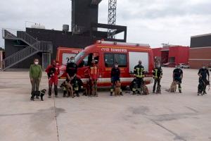 Las unidades Caninas de bomberos del SPEIS y Consorcio junto con el GERCA entrenan para mejorar su rendimiento en la búsqueda de personas