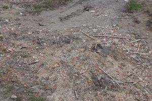 Giner alerta de degradación y suciedad en el entorno de la Gola del Perellonet en el Parque Natural de la Albufera