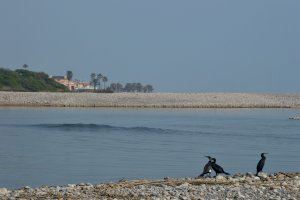 El Mijares forma una preciosa laguna costera entre la Gola Sur y el Mediterráneo