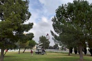 Alaquàs elimina els nius de processionària detectats en alguns pins del municipi
