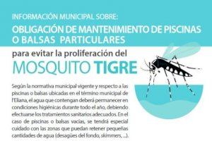 Arranca la campaña contra el mosquito tigre en l’Eliana