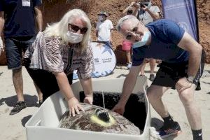 El periplo de la tortuga Colomera soltada en Oropesa el año pasado continúa