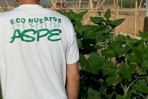 El Ayuntamiento de Aspe adjudica 16 parcelas del huerto ecológico municipal
