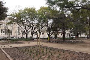 El Ayuntamiento de València realiza cerca de 2.000 actuaciones de poda del arbolado viario y controla la vegetación herbácea en más de 11.100 alcorques en febrero