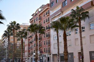 El Ayuntamiento de Xàtiva procede a la poda de las más de 300 palmeras de la ciudad