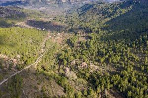 Zonas abandonadas de gran valor natural convertidas en Cortafuegos Verdes