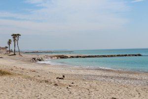 Nules plantea una acción social para mantener limpia la playa en Semana Santa