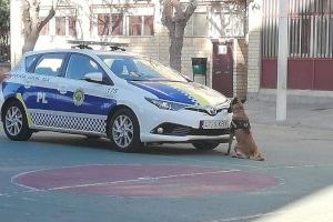 La Unidad Canina de la Policía Local de Elche participó en más de 100 controles de drogas y circulación el año pasado