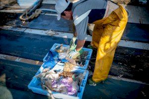 Pescadores valencianos recogen 75.000 kilos de basura marina