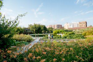 València se adherirá al acuerdo europeo por una ciudad verde, limpia y saludable