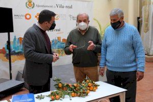 El PP de Vila-real reclama una defensa contundente al sector agrícola por la plaga del cotonet