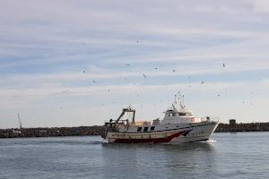 COINCOPESCA y la Dirección General de Pesca de la Generalitat Valenciana reclaman la articulación de subvenciones para hacer frente a la nueva reducción pesquera de la flota de arrastre