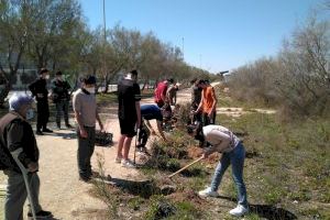 Medi Ambient organitza Jornades de reforestació dirigides a l'alumnat d’Ecocanvis de l'IES Santa Pola