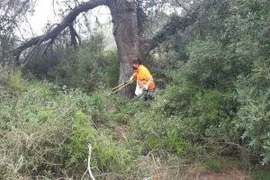 Valencia implanta por primera vez una brigada de limpieza en el bosque de la Devesa