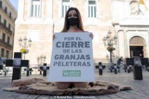 Una activista se desnuda mañana en Alicante contra el “asesinato” de animales para la industria peletera