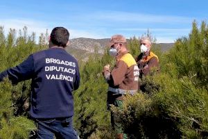 Les brigades forestals de la Diputació col·laboren amb un projecte europeu per a previndre emissions de gasos d'efecte d'hivernacle