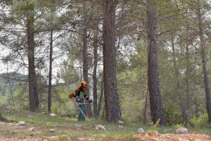 Les brigades forestals de la Diputació de València posen a punt les àrees recreatives
