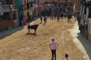 Las fiestas de la Vall d’Uixó lamentan el nulo interés del gobierno local para aportar soluciones al sector taurino