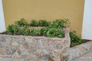 El Ayuntamiento de Peñíscola impulsa la mejora de la jardinería en el municipio