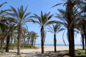 La Diputación y la AECC se unen para convertir las playas de Castellón en espacios libres de humo
