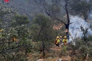 Un rayo impacta sobre un pino en La Romana y los bomberos sofocan el conato de incendio