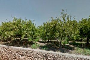 Castelló bonifica fins al 70 % de l'IBI dels horts en producció per recuperar el valor social del sistema agroalimentarió