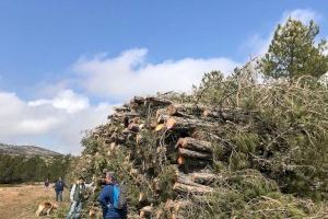 Denuncien les tales desmesurades de pins en el Parc Natural de la Puebla de San Miguel