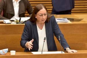 Massó (VOX) insta al conseller de Economía a eliminar el "despilfarro" del Botánico con 20 millones en asesores y exige que baje impuestos y ayude a los valencianos