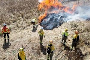 Bomberos y brigadas forestales de la Diputació de València colaboran en una quema controlada en Requena