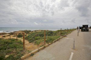 Comienza una actuación medioambiental en Cabo Cervera para delimitar recorridos peatonales básicos dentro del área