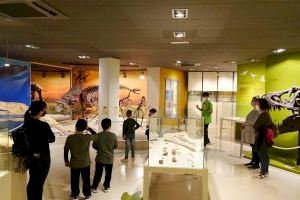 Las visitas al museo paleontológico de Elche aumentan un 28% en Semana Santa