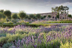 Jardins en terrats, hàbitats naturals ... Així és el pla verd de la ciutat de València