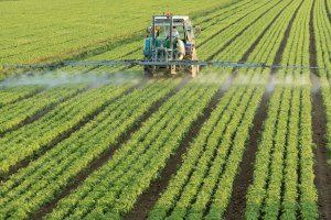El Gobierno actualiza la legislación en materia de productos fitosanitarios para aumentar la calidad y seguridad de los alimentos