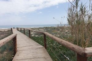 Giner demanarà en el ple un itinerari ecològic a la platja del Recatí del Perellonet