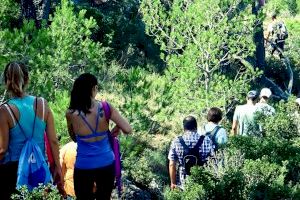 Celebrem amb la Natura programa en mayo una ruta de senderismo en el Desert de les Palmes y un taller de cajas nido en el parque Meridiano