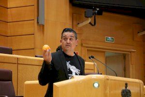 Carles Mulet al PP: “Cuidado con los experimentos porque nos podemos quedar con las naranjas sin vender en los árboles”