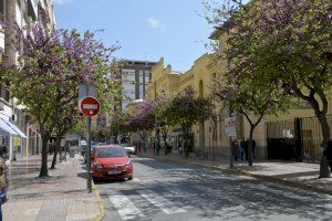 El Ayuntamiento de Elda ultima un proyecto para la reparación de alcorques y el replantado de árboles en varias calles de la ciudad
