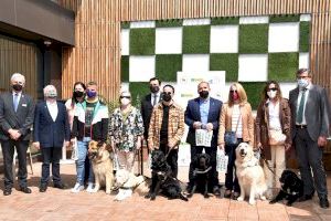 La ONCE dedica un cupón al Día Internacional del Perro Guía, en homenaje a quienes dan seguridad y movilidad a las personas ciegas