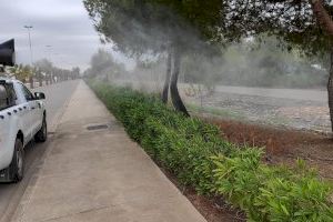 Almenara refuerza el tratamiento contra los mosquitos tras las lluvias