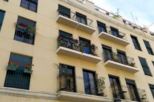 La pandemia dispara la venta de plantas para decorar el hogar un 30% en la Comunitat Valenciana