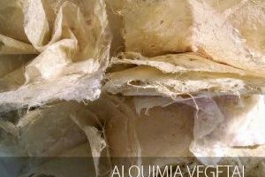 La Sede Ciudad de Alicante inaugura la exposición "Alquimia vegetal" de Pilar Sala