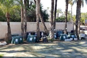 Más de cuatrocientas toneladas anuales de residuos orgánicos de colegios de Elche acaban anualmente en el vertedero de Els Cremats