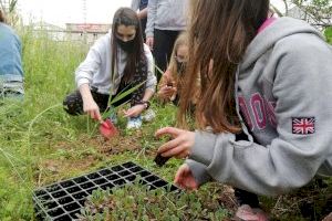La fundación LIMNE y los alumnos del Instituto de Càrcer plantan vida a orillas del río Sellent